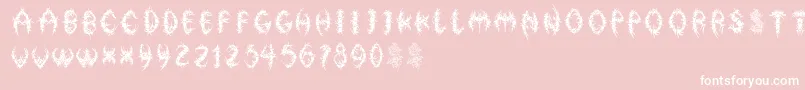 FloralphabetBold Font – White Fonts on Pink Background