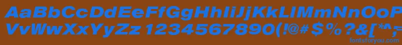 フォントAnconaExHeavyItalic – 茶色の背景に青い文字