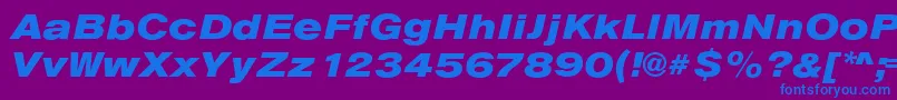 AnconaExHeavyItalic Font – Blue Fonts on Purple Background