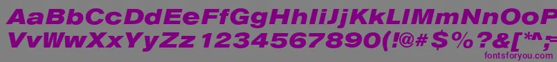 フォントAnconaExHeavyItalic – 紫色のフォント、灰色の背景