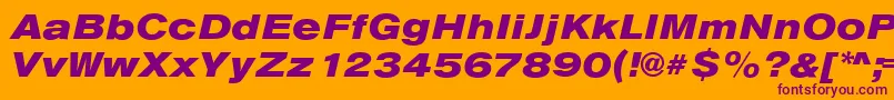 AnconaExHeavyItalic Font – Purple Fonts on Orange Background