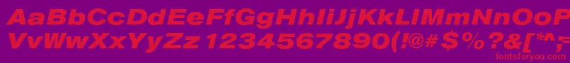 AnconaExHeavyItalic Font – Red Fonts on Purple Background