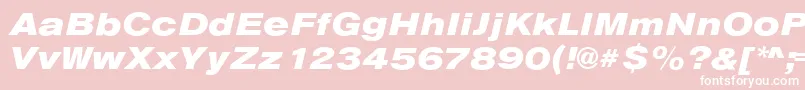 AnconaExHeavyItalic Font – White Fonts on Pink Background