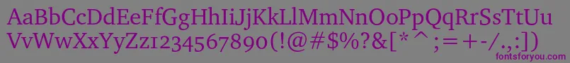 Charterosc-fontti – violetit fontit harmaalla taustalla