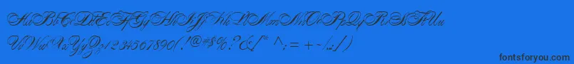 AlexandraScript Font – Black Fonts on Blue Background