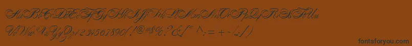 AlexandraScript Font – Black Fonts on Brown Background