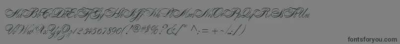 AlexandraScript Font – Black Fonts on Gray Background