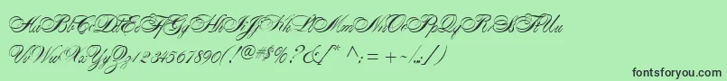 AlexandraScript Font – Black Fonts on Green Background