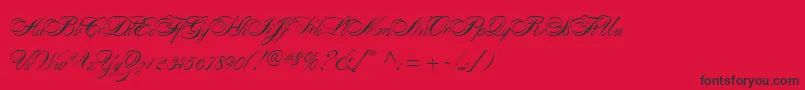AlexandraScript Font – Black Fonts on Red Background