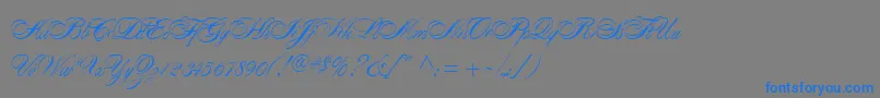 AlexandraScript Font – Blue Fonts on Gray Background