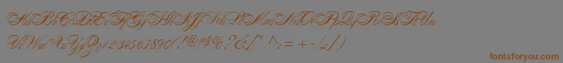 フォントAlexandraScript – 茶色の文字が灰色の背景にあります。
