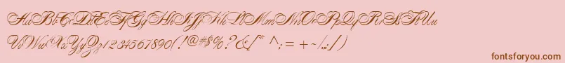 AlexandraScript Font – Brown Fonts on Pink Background