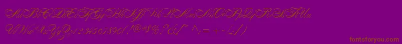 AlexandraScript Font – Brown Fonts on Purple Background