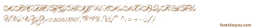 AlexandraScript Font – Brown Fonts on White Background