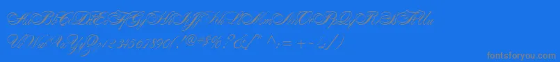 AlexandraScript-Schriftart – Graue Schriften auf blauem Hintergrund