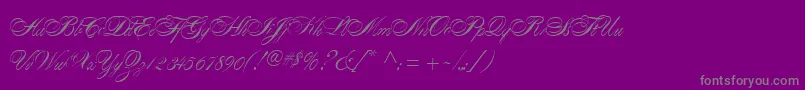 AlexandraScript Font – Gray Fonts on Purple Background