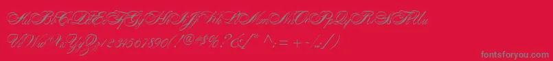 AlexandraScript Font – Gray Fonts on Red Background
