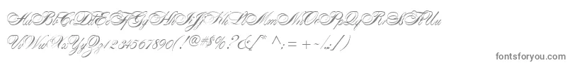 AlexandraScript Font – Gray Fonts on White Background