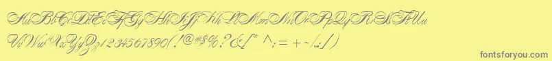 AlexandraScript Font – Gray Fonts on Yellow Background