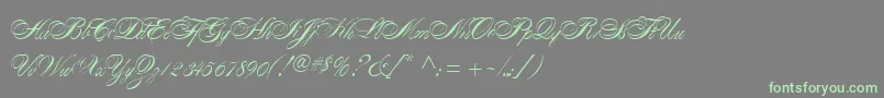 AlexandraScript Font – Green Fonts on Gray Background