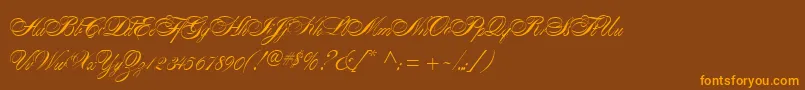 AlexandraScript Font – Orange Fonts on Brown Background
