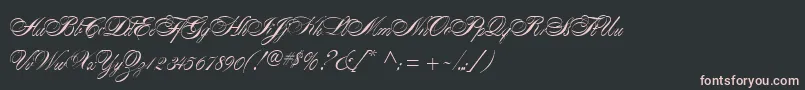 AlexandraScript Font – Pink Fonts on Black Background