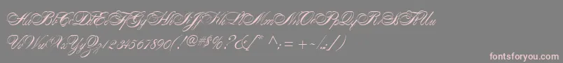 AlexandraScript Font – Pink Fonts on Gray Background