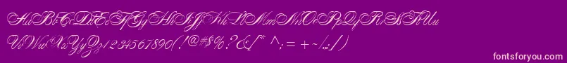 AlexandraScript Font – Pink Fonts on Purple Background