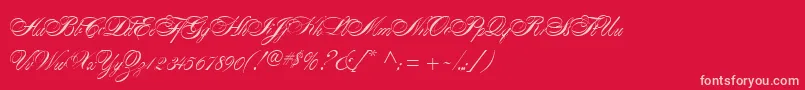 AlexandraScript Font – Pink Fonts on Red Background