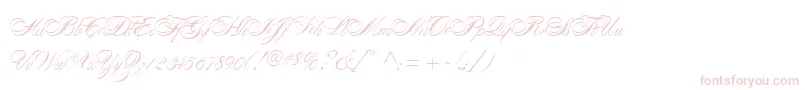 AlexandraScript Font – Pink Fonts