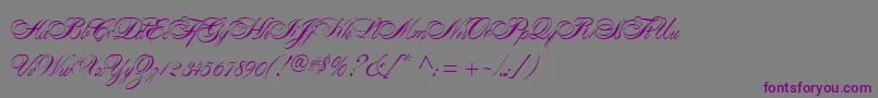 フォントAlexandraScript – 紫色のフォント、灰色の背景