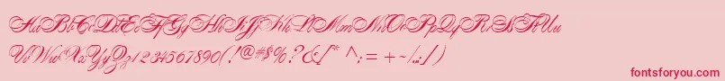 AlexandraScript Font – Red Fonts on Pink Background