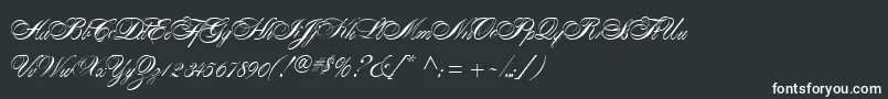 AlexandraScript Font – White Fonts on Black Background