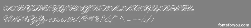 AlexandraScript Font – White Fonts on Gray Background