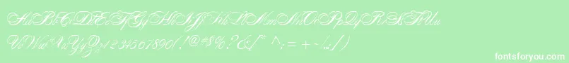AlexandraScript Font – White Fonts on Green Background