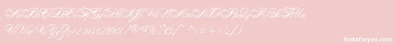 AlexandraScript Font – White Fonts on Pink Background