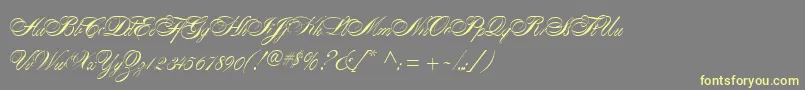 AlexandraScript Font – Yellow Fonts on Gray Background