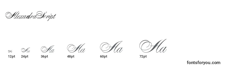 Размеры шрифта AlexandraScript