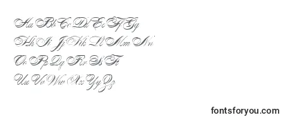 AlexandraScript Font