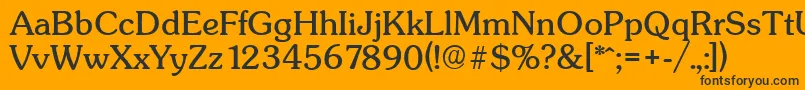 SunsetserialRegular Font – Black Fonts on Orange Background