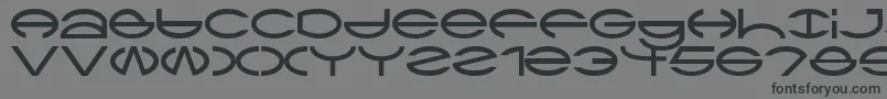 フォントCtype – 黒い文字の灰色の背景