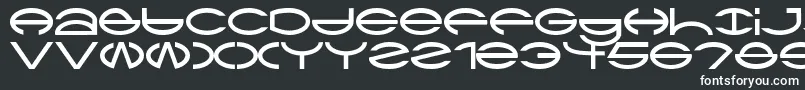 Ctype Font – White Fonts