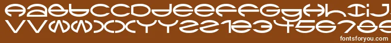 Ctype Font – White Fonts on Brown Background