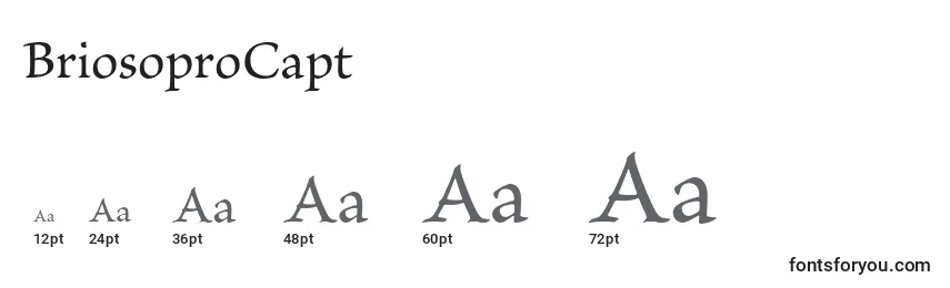 BriosoproCapt Font Sizes