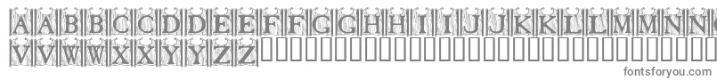 TavernDoors Font – Gray Fonts on White Background