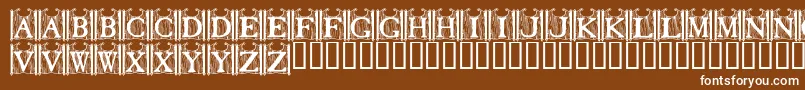 Fonte TavernDoors – fontes brancas em um fundo marrom