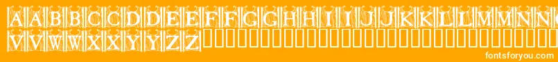 フォントTavernDoors – オレンジの背景に白い文字