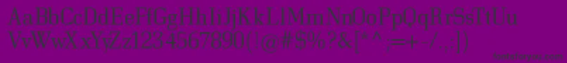 Bodonitown Font – Black Fonts on Purple Background