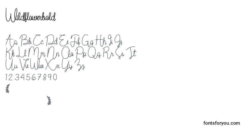Schriftart Wildflowerbold (99921) – Alphabet, Zahlen, spezielle Symbole