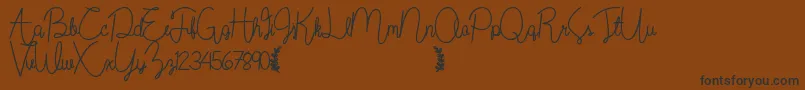 Wildflowerbold Font – Black Fonts on Brown Background